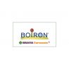 Boiron Spongia Tosta 5CH granuli