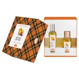 I PROFUMI DELLA CASA SET AGRUMI SPEZIATI 1 FRAGRANZA AMBIENTE SPRAY 100 ML + BASTONCINI AROMATICI AMBIENTE 100 ML