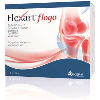 FLEXART FLOGO 14BUST NF