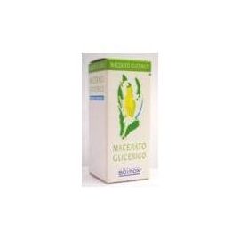 RIBES NIGRUM GEMME 60ML MACERATO GLICERICO