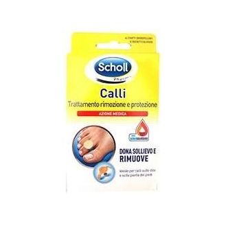 SCHOLL CER CALLIF TRATT R/PROT