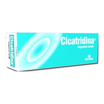 CICATRIDINA UNGUENTO NAS 15G