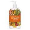 I SORBETTI MANGOBOOM SAP 500ML