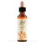 ASPEN 10ml Bach
