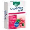 Esi Cranberry Cyst