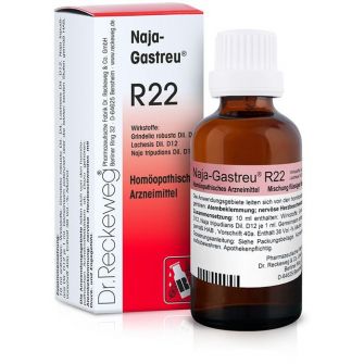 R22 Gocce Dr Reckeweg 22 ml