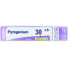 Pyrogenium 30 ch granuli Boiron