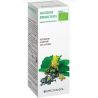 GINKGO BILOBA 64 50ML TM