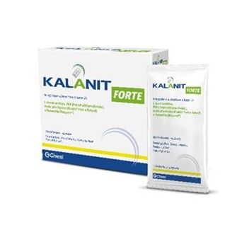 KALANIT FORTE 14BUST