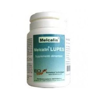 Melacalin Lupes Biotekna