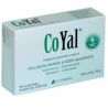 COYAL 30CPR GASTROPROTETTE