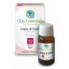 CEDRO LEGNO OE 10ML