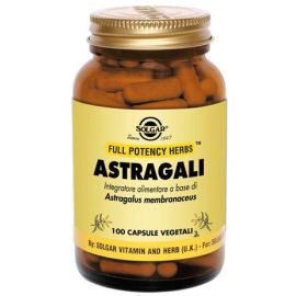 Astragali