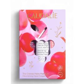 COFANETTO TRIO CR MANI XMAS 25