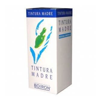Betulla Alba Tintura Madre Boiron 60 ml