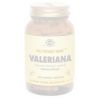 Valeriana Solgar