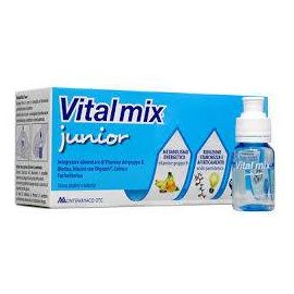 Vitalmix Junior