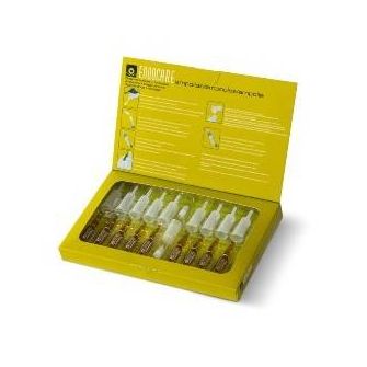 Endocare Ampolle