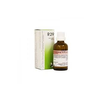 R29 Gocce Dr Reckeweg